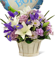 Baby Boy Flowers Basket