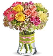 Fashionista Blooms Flowers