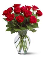 12 Red Roses Vased