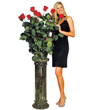 Ultimate Roses