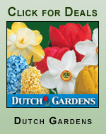 Dutch Gardens