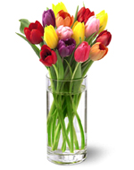 Assorted Tulips Vase