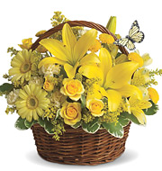 Basket Full of Wishes