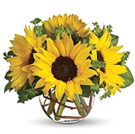 Sunny Sunflowers
